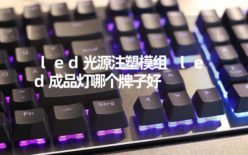 led光源注塑模组 led成品灯哪个牌子好
